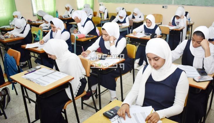 أحدث صيحات يونيفورم المدرسة 2023 والأسعار زيموحد بنات
