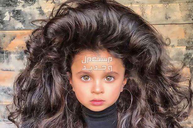 أفضل 10 زيوت لتطويل الشعر شعر طويل كثيف