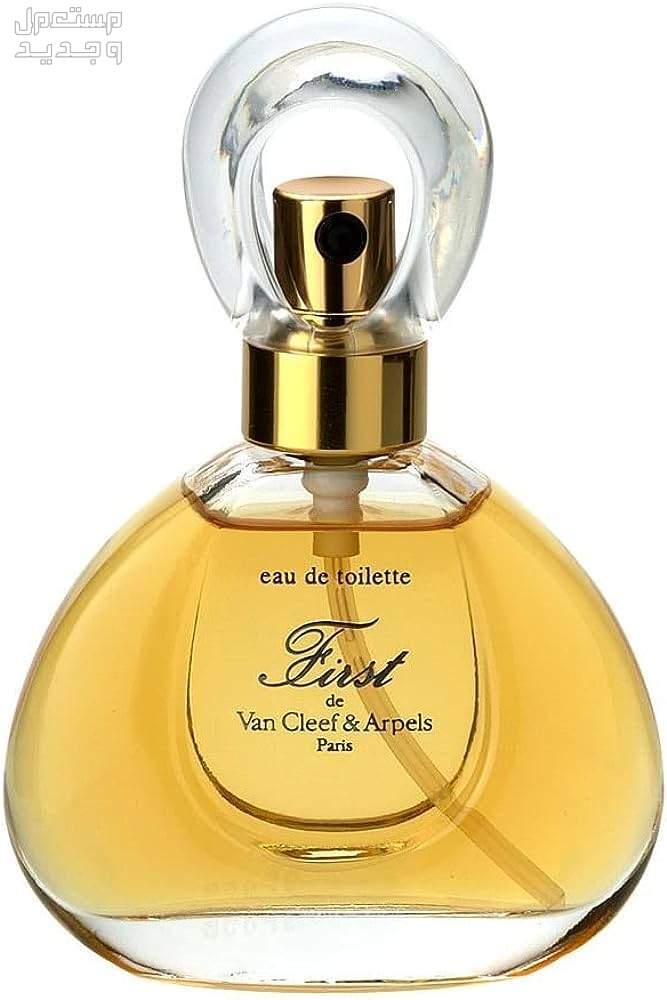 إليكِ عطور الأميرة ديانا المفضلة تفاصيل عطر VAN CLEEF & ARPELS First Eau de Toilette