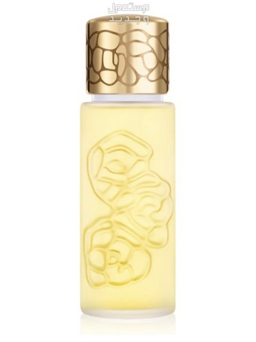 إليكِ عطور الأميرة ديانا المفضلة عطر HOUBIGANT PARIS Quelques Fleurs