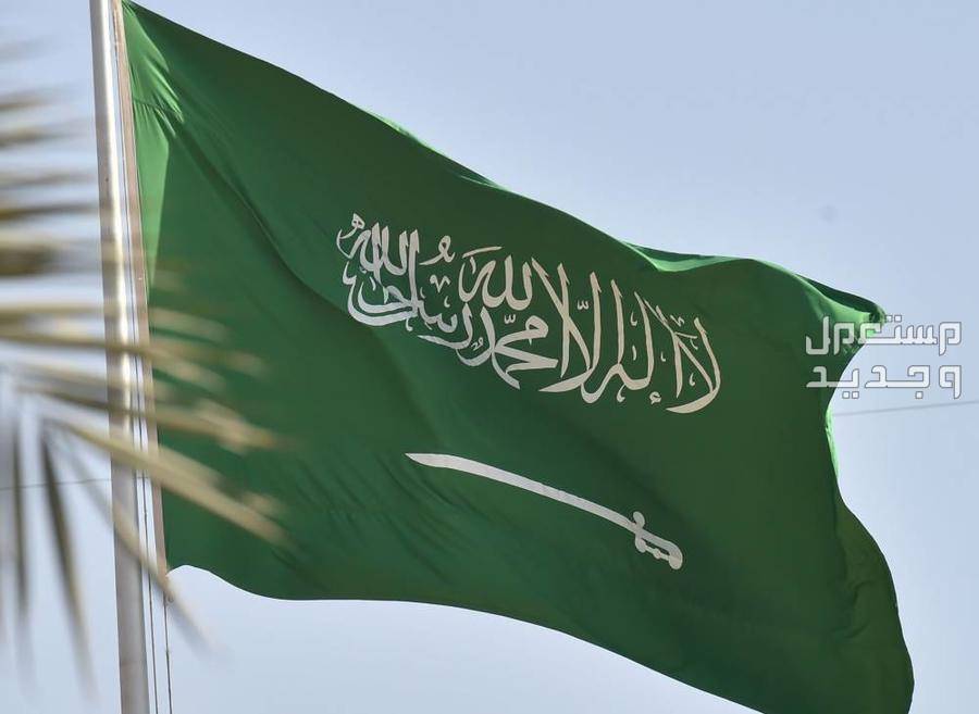 اجازة اليوم الوطني 1445: مظاهر الاحتفال باليوم الوطني وحقيقة تمديد الاجازة علم المملكة العربية السعودية