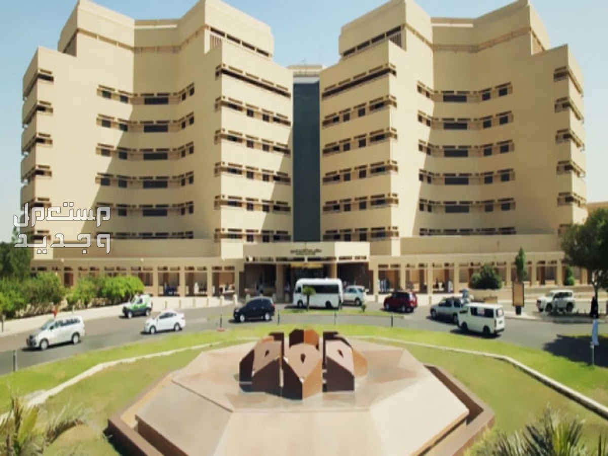 جامعة الملك عبدالعزيز تعلن موعد التقديم في الدراسات العليا للعام 1446 في الإمارات العربية المتحدة