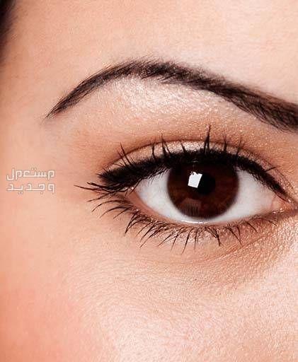 أفضل سيروم نمو الرموش وأسعاره كاملة سيروم للرموش