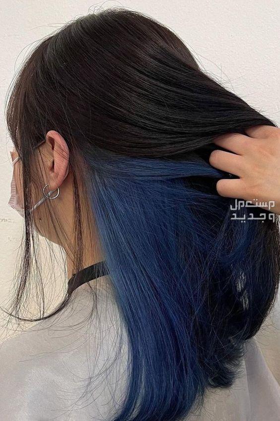 أفضل صبغة شعر طبية وسعرها صبغة زرقاء