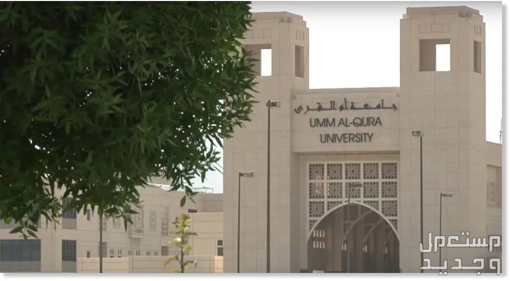 شروط ومواعيد القبول في برامج الدراسات العليا بجامعة أم القرى 1445 في الأردن