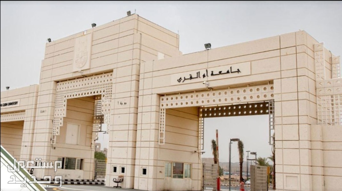 شروط ومواعيد القبول في برامج الدراسات العليا بجامعة أم القرى 1445 في البحرين مواعيد القبول في برامج الدراسات العليا