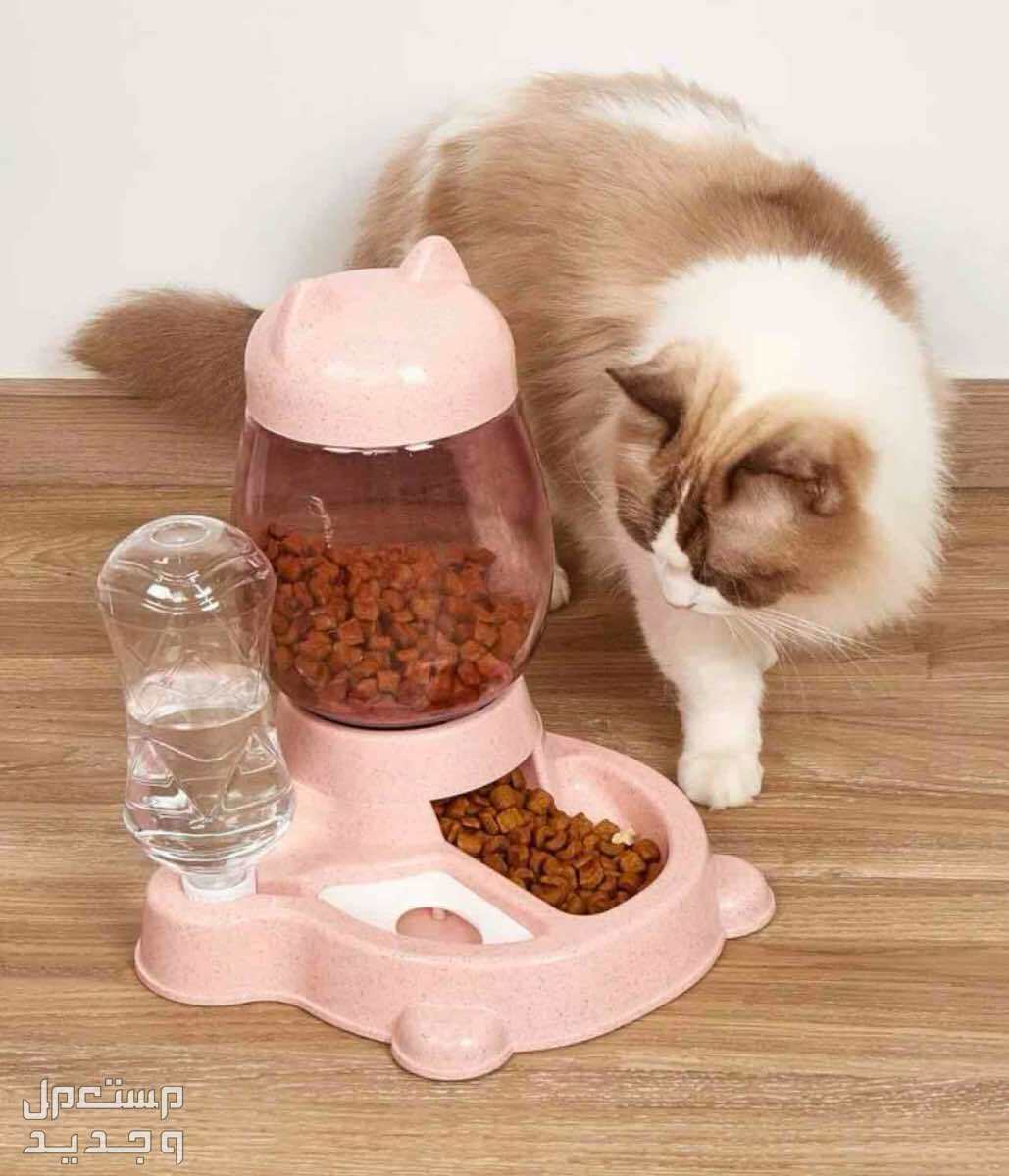 لوزام قطط متصلة ببعضها البعض للطعام وللشرب