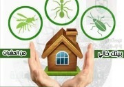 شركة مكافحة النمل الابيض بحائل رش مبيدات رش مبيدات بحائل 0540349618