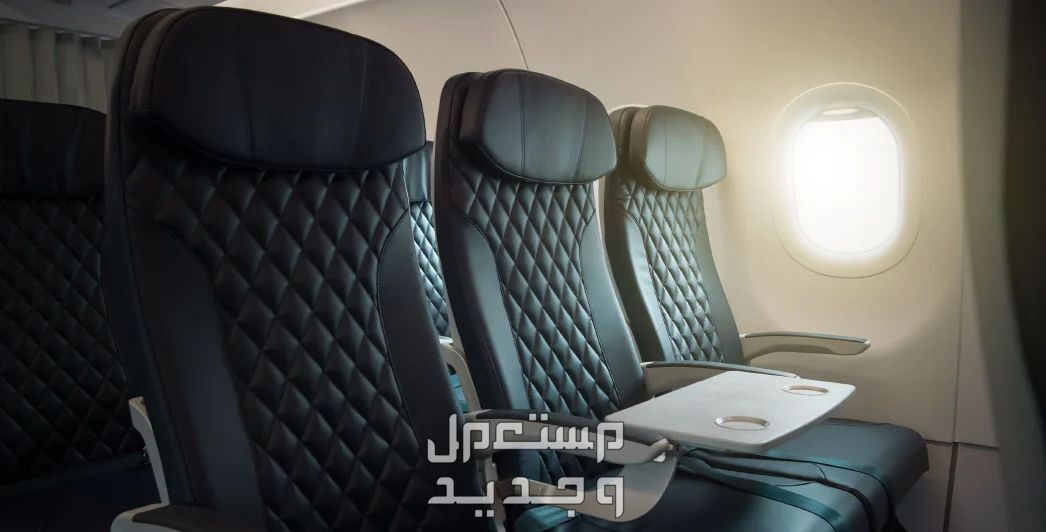 ارخص تذاكر طيران داخلي فلاي ناس في السعودية مقاعد فلاي ناس