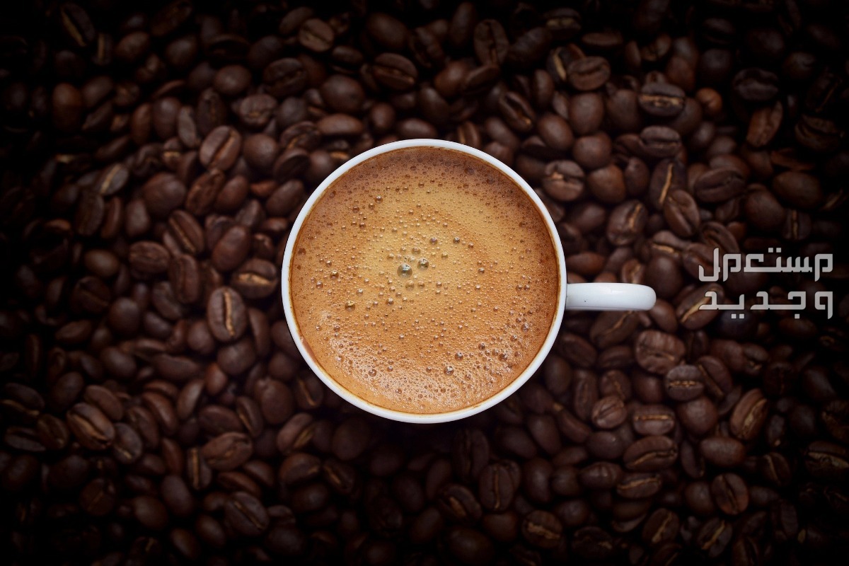 تعرف على مراسم وعادات تقديم القهوة القهوة