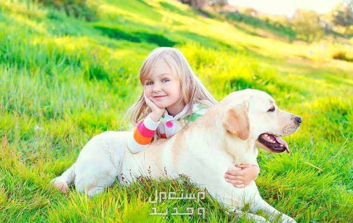 تعرف على أفضل 10 سلالات كلاب للاطفال طفلة تحب كلبها
