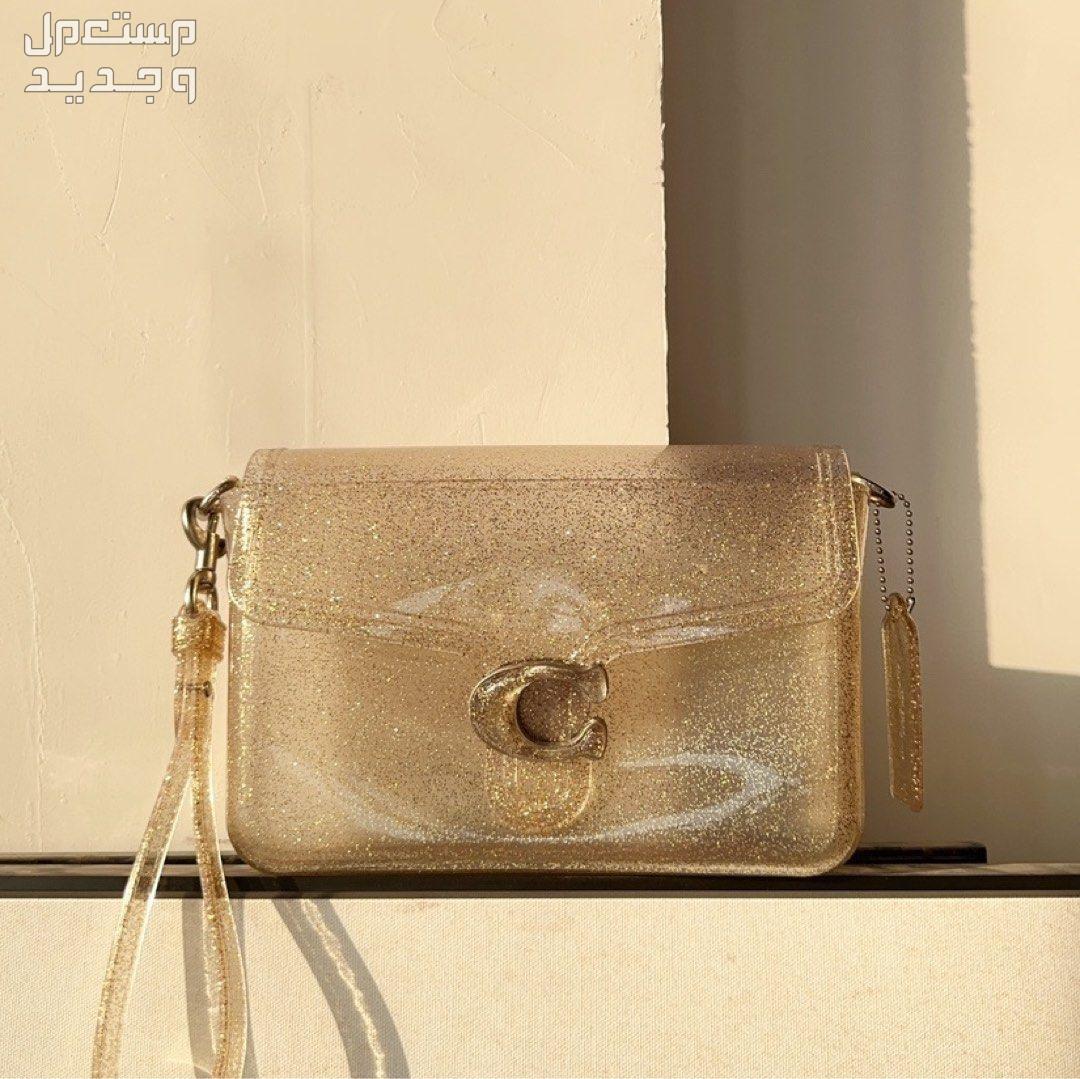 أفضل حقيبة شفافة لعام 2023 حقيبة شفافة من coach jelly tabby bag