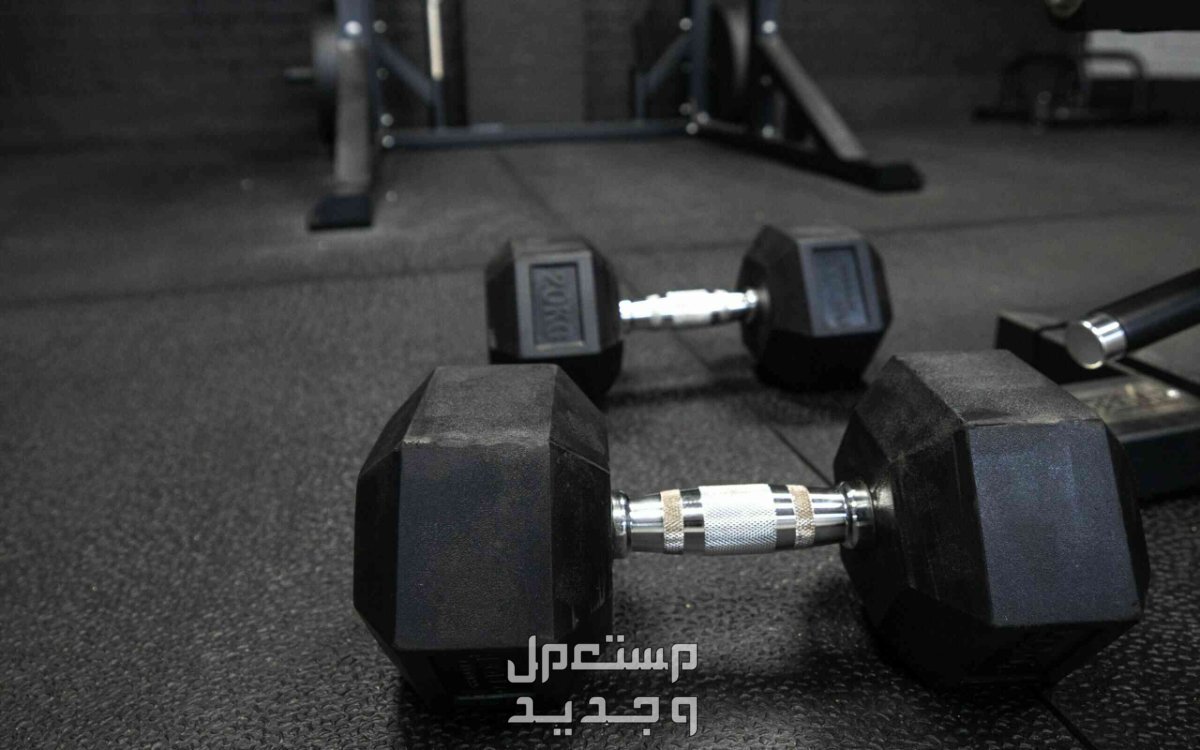 سعر دمبل الحديد وأفضل أنواعه كاملة حديد جيم
