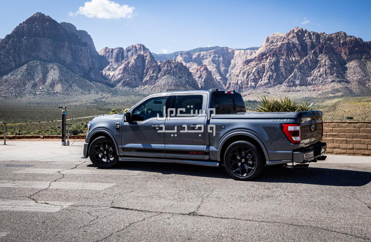 فورد F-150 اف-150 2024 صور اسعار مواصفات وفئات فورد F-150 اف-150 2024 وقوتها