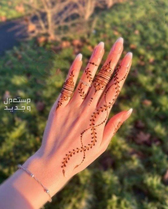 أسعار الحنة السودانية وأفضل الانواع الحنة السودانية تحتفظ بتراثها الثقافي