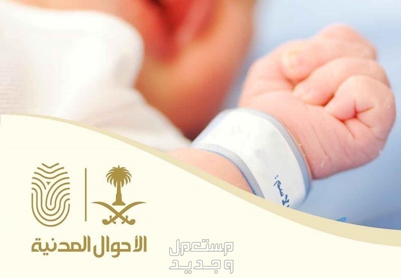 كيف أسجل مولود جديد عبر أبشر 1445 في الإمارات العربية المتحدة كيف أسجل مولود جديد