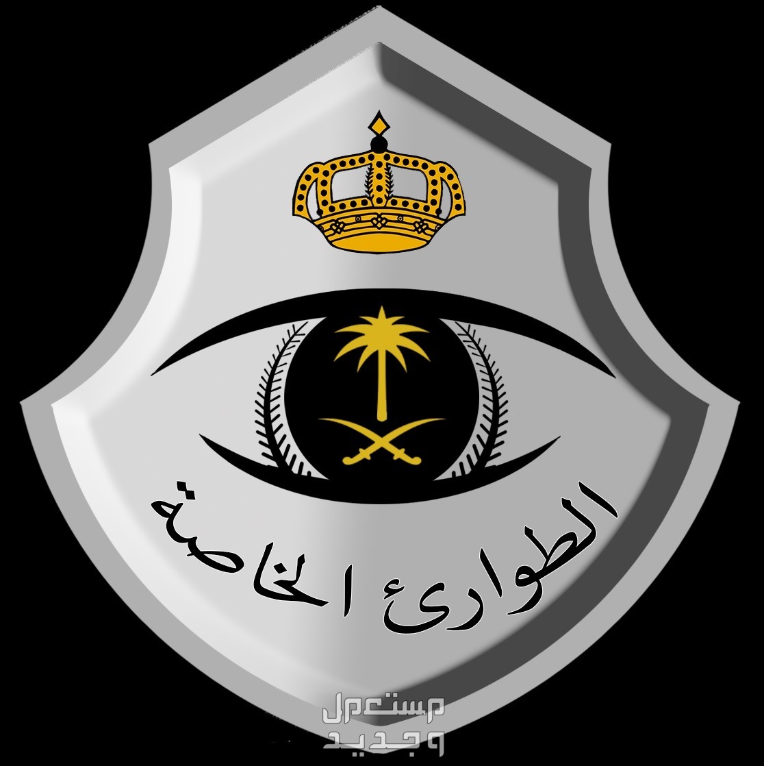 كيفية التقديم في قوات الطوارئ الخاصة 1445 والشروط المطلوبة في الإمارات العربية المتحدة الطوارئ الخاصة