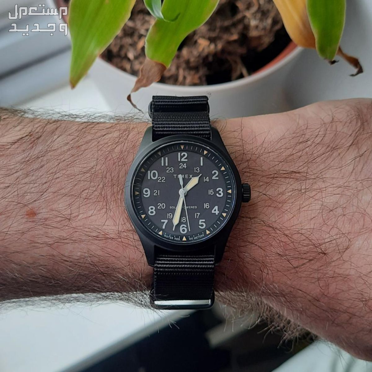 أفضل ساعات  Timex الرجالية حسب الخبراء ساعة Timex Expedition