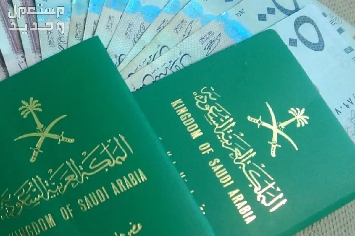 خطوات استخراج جواز سفر لطفل رضيع 1445 في الأردن
