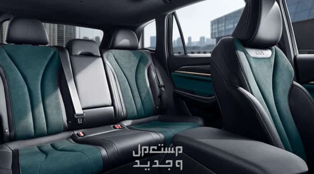 جيلي مونجارو 2024 صور اسعار مواصفات وفئات مقاعد جيلي مونجارو 2024