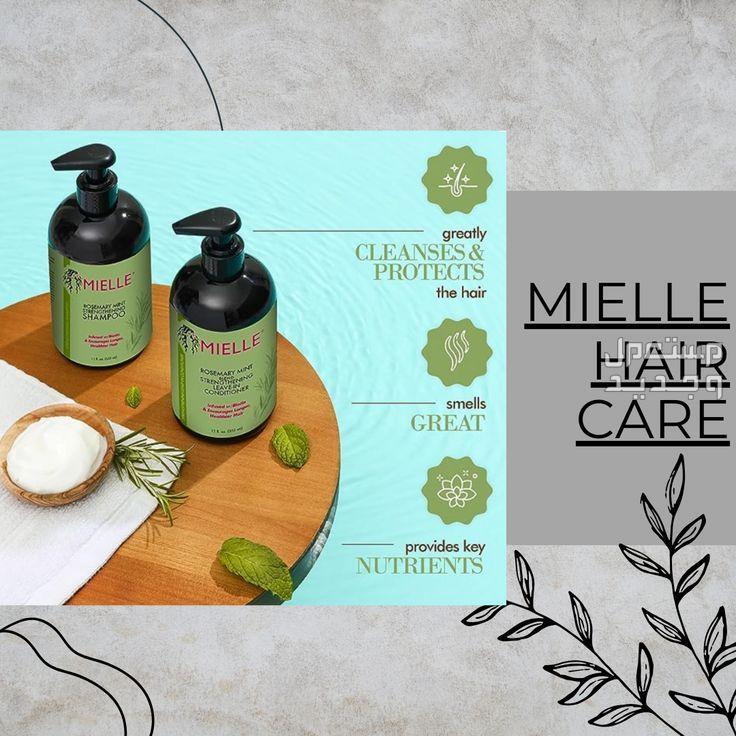 أفضل شامبو للشعر الخفيف لعام 2025 خصائص شامبو للشعر الخفيف Mielle Organics Rosemary Mint Strengthening Shampoo