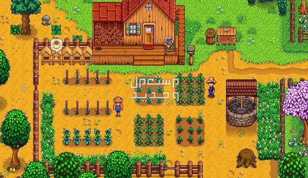 تعرف على لعبة Stardew Valley المزدوجة Stardew Valley