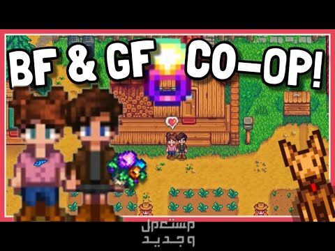 تعرف على لعبة Stardew Valley المزدوجة Stardew Valley