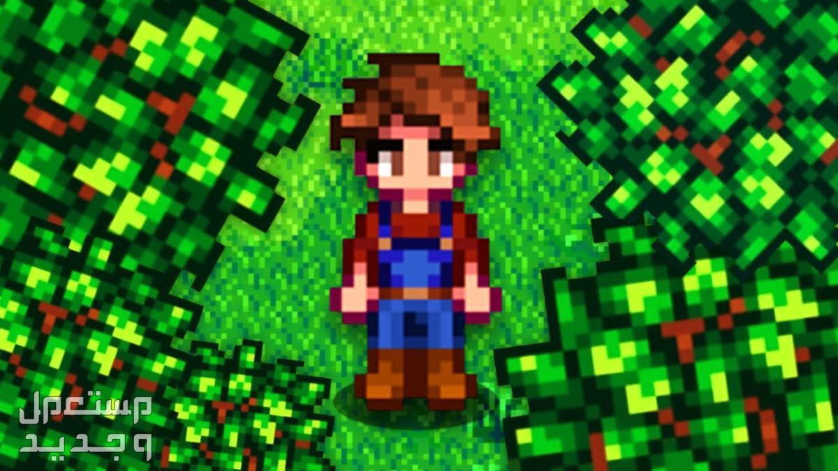 تعرف على لعبة Stardew Valley المزدوجة Stardew Valley