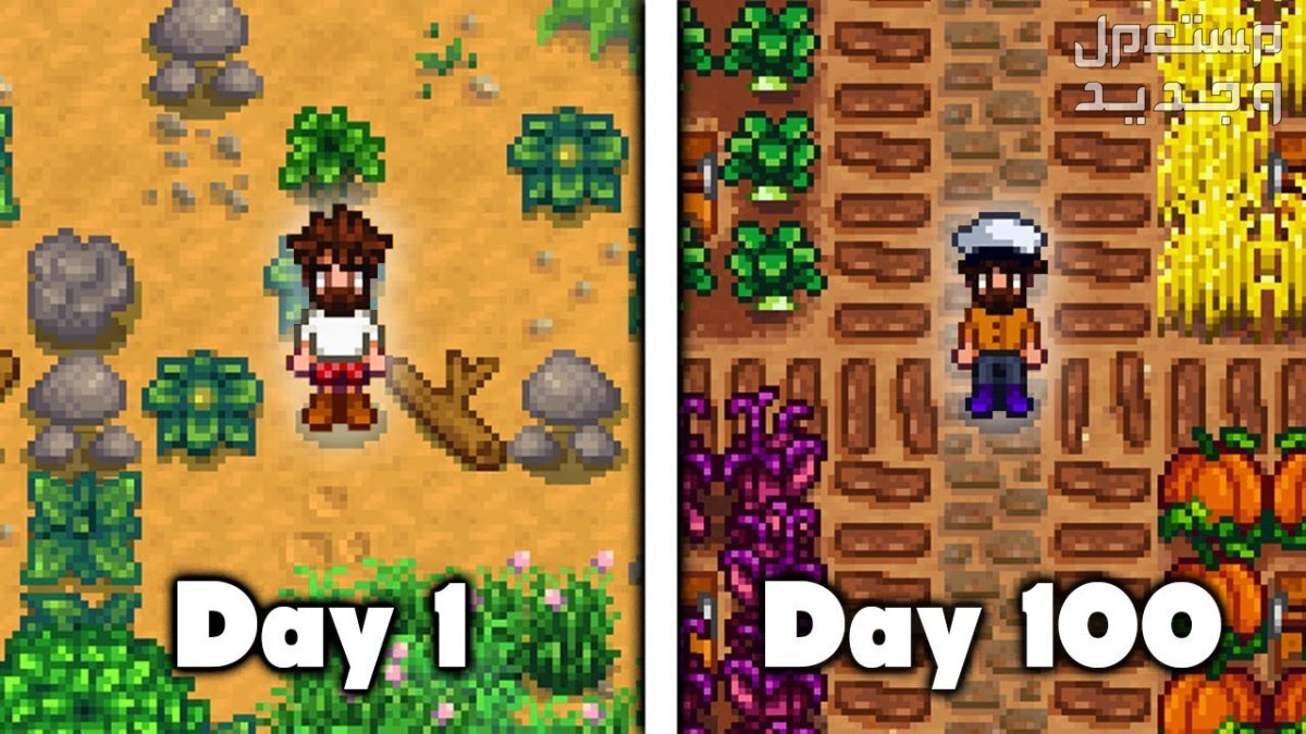 تعرف على لعبة Stardew Valley المزدوجة Stardew Valley