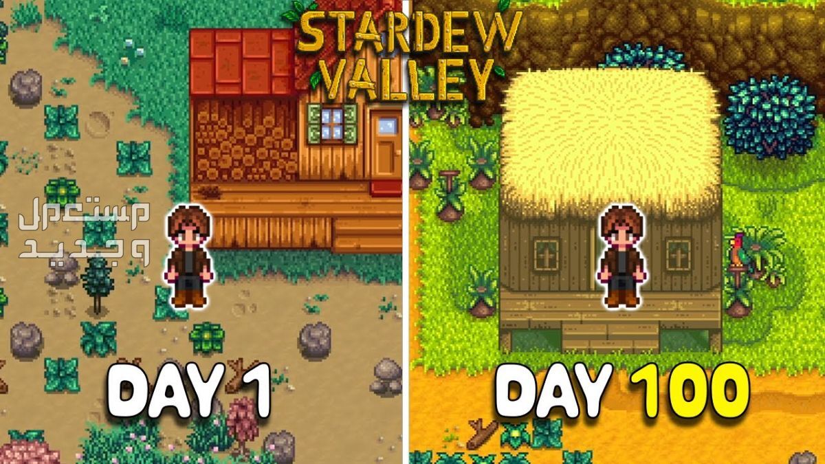 تعرف على لعبة Stardew Valley المزدوجة Stardew Valley