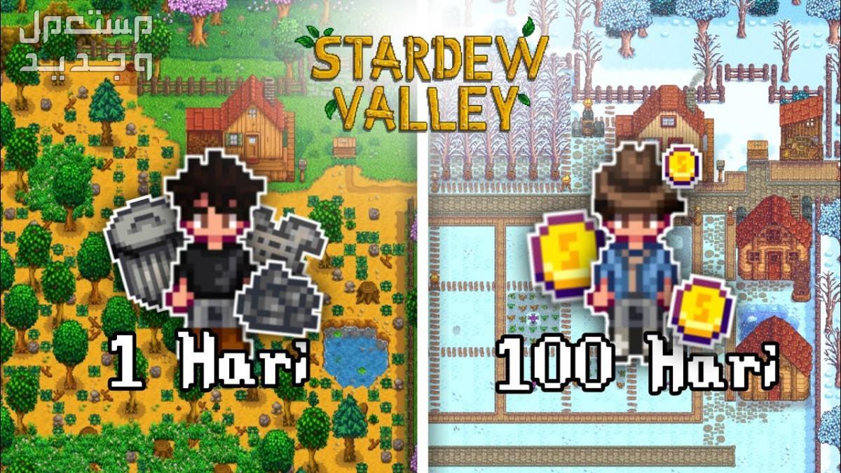 تعرف على لعبة Stardew Valley المزدوجة Stardew Valley