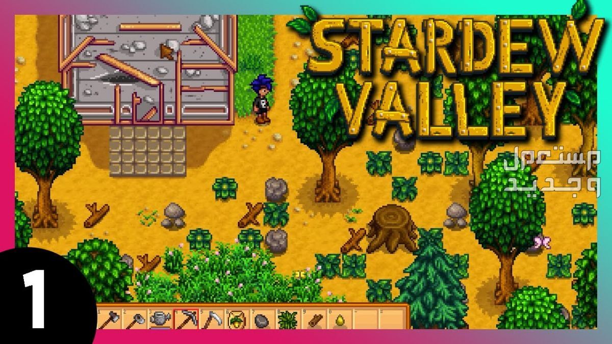 تعرف على لعبة Stardew Valley المزدوجة Stardew Valley