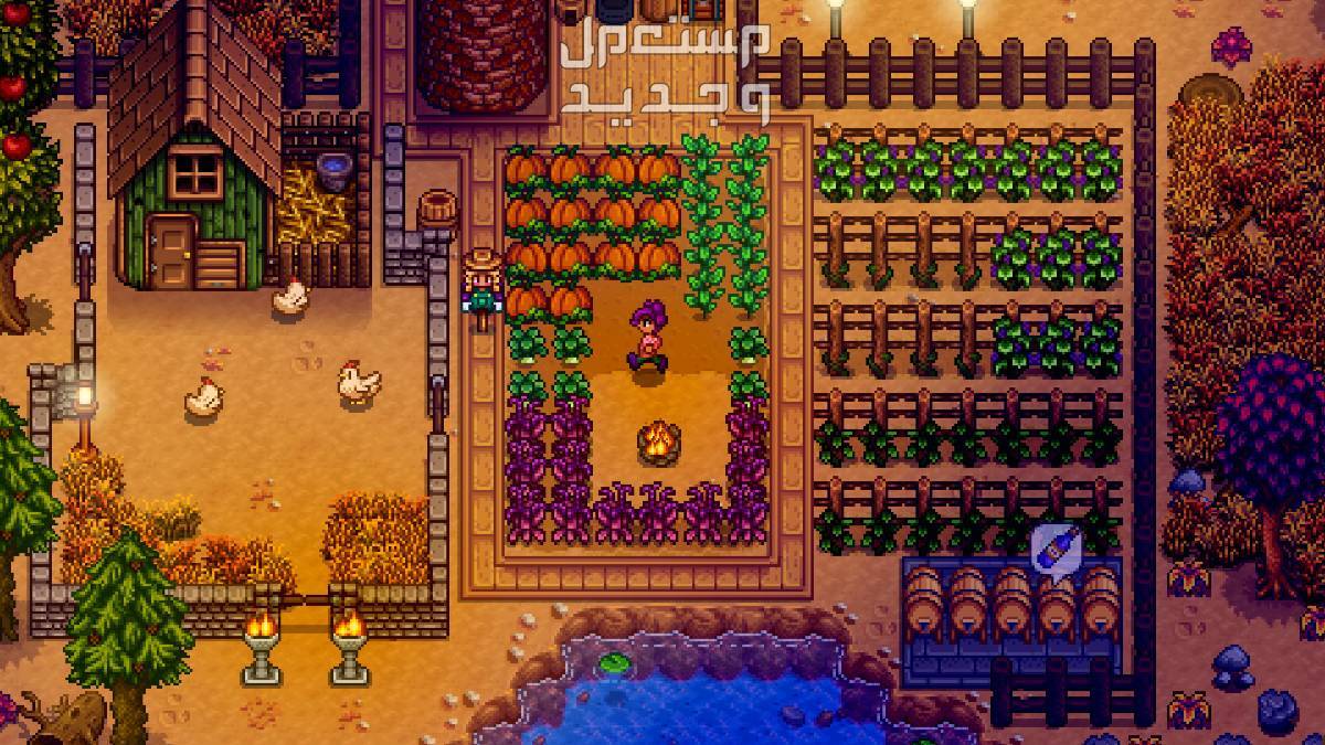 تعرف على لعبة Stardew Valley المزدوجة Stardew Valley
