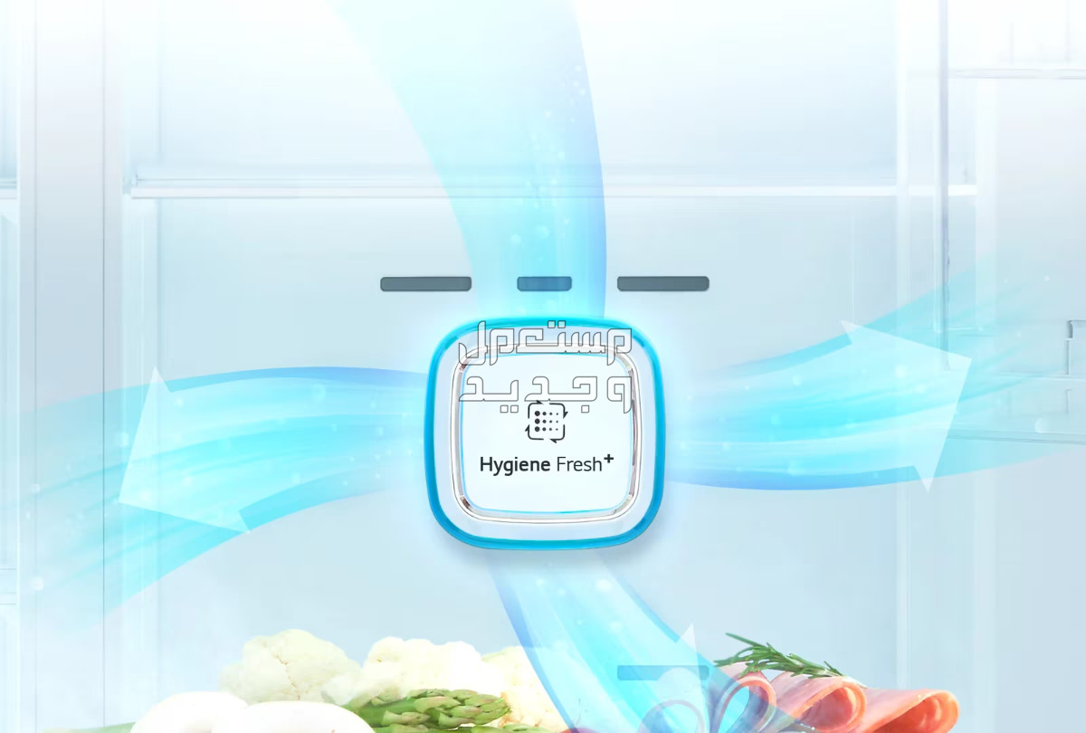 ثلاجة lg 18 قدم النموذجية السعر والمواصفات والمميزات +Hygiene Fresh  ثلاجة lg 18 قدم