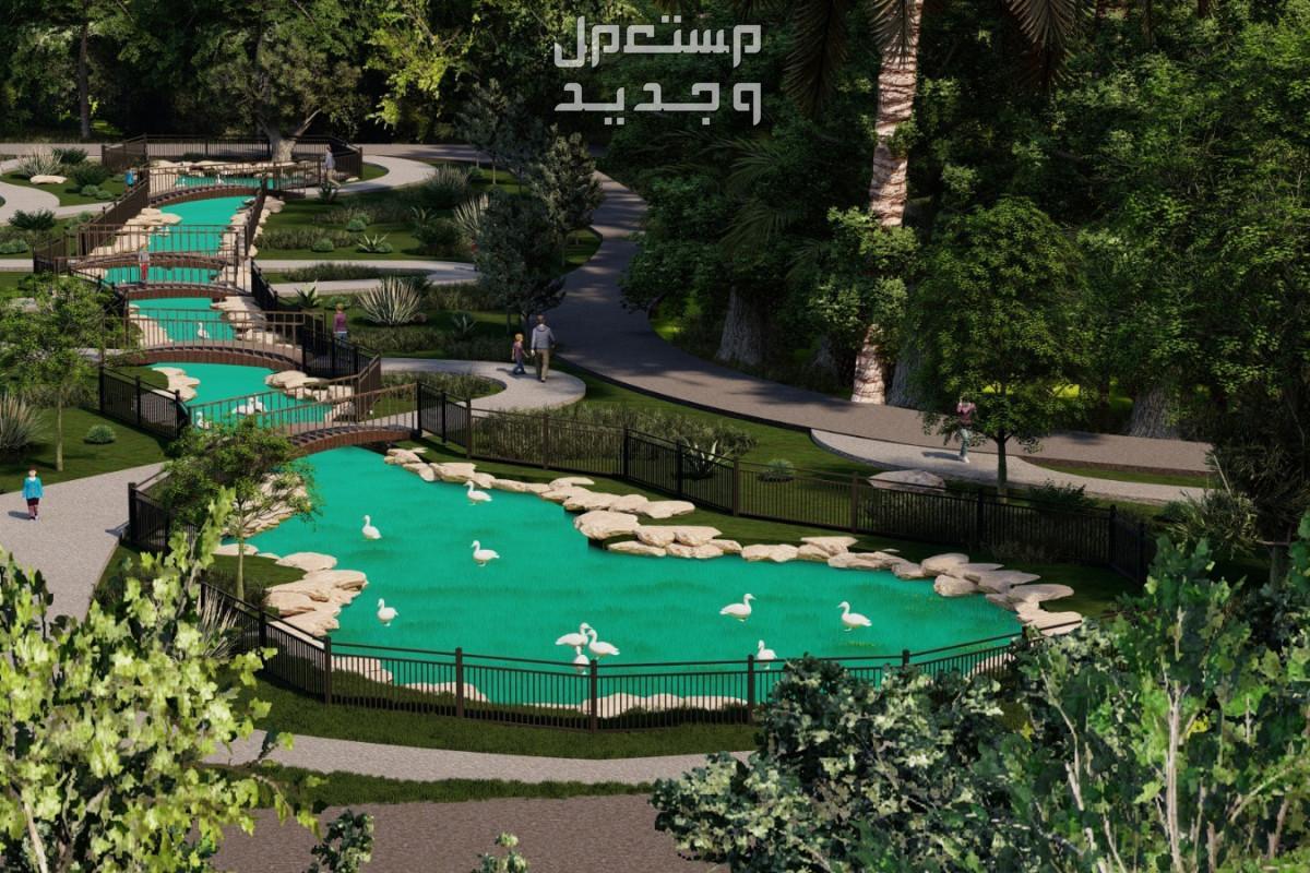 لتشجيع السياحة والترفيه.. معلومات عن موسم الرياض في نسخته لعام 2023 في الأردن مناطق طبيعية واسعة في موسم الرياض