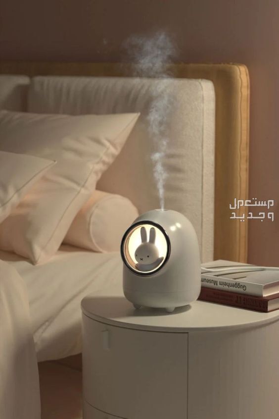 أفضل مبخرة كهربائية وسعرها تحسين جودة الهواء: مبخرة الهواء الكهربائية في منزلك