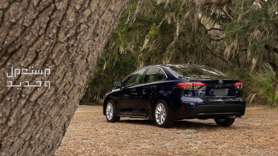 سيارة تويوتا كورولا Toyota corolla 2020 مواصفات وصور واسعار سيارة تويوتا كورولا Toyota corolla 2020