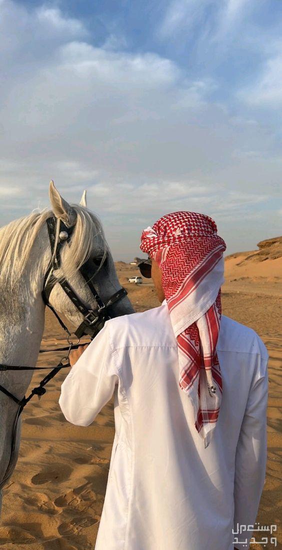 أفضل شماغ سعودي وسعره شماغ سعودي رفيع