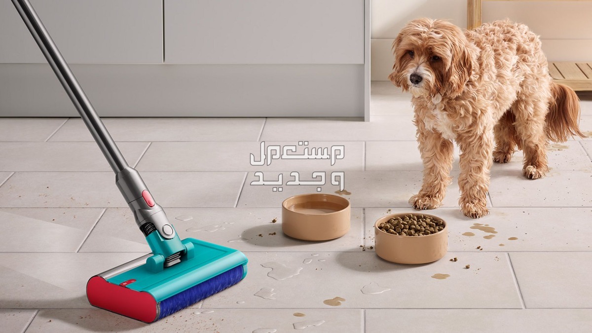 سعر ومميزات مكانس دايسون بالتكنولوجيا المتطورة والشفط الأقوى مميزات مكانس دايسون
