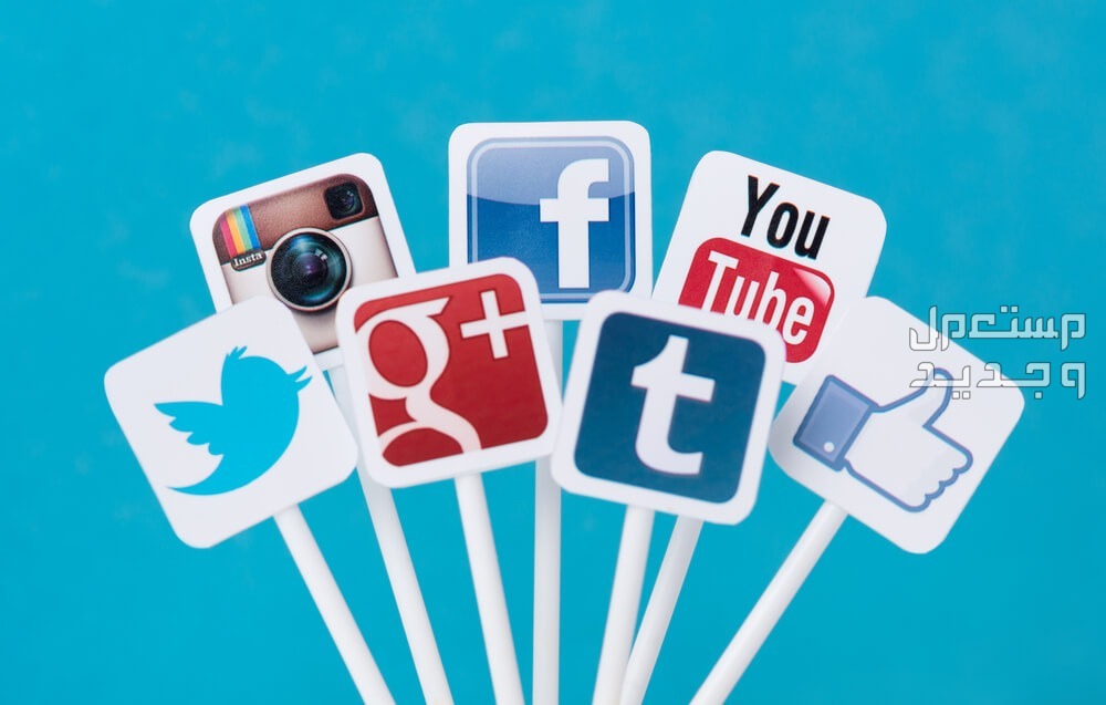 احصل على باقة خدمات مواقع التواصل الاجتماعي من "سايت أب" بخصم 20% الآن!