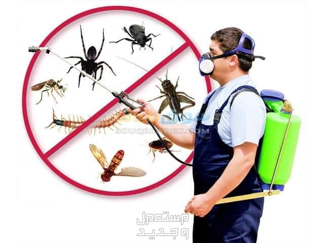شركة مكافحة حشرات بالعارضة
