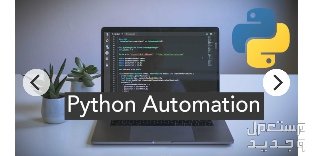عمل برنامج سكريبت بوت لميكنة المهام Python Automation عمل برنامج سكريبت بوت لميكنة المهام Python Automation

اقوم بعمل برامج او بوت بأ