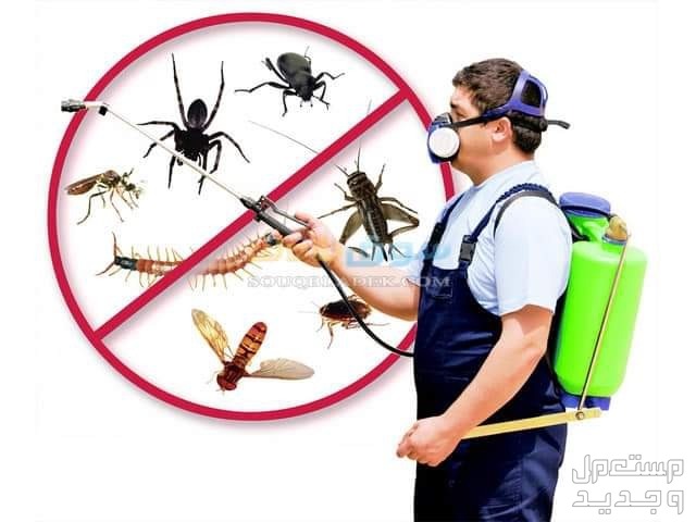 شركة مكافحة حشرات بالدرب