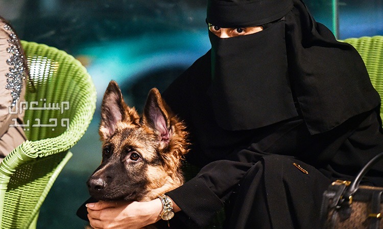 مهرجان الكلاب موسم الرياض 2023.. اسعار التذاكر وخطوات الحجز سيدة سعودية تمسك بكلبها