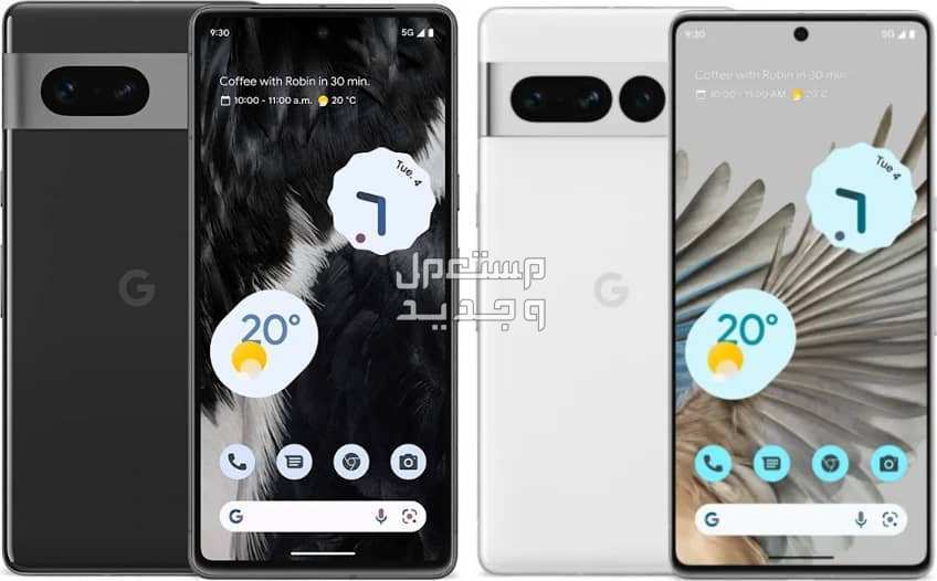 تعرف على هاتف Google Pixel 7 Pro Google Pixel 7 Pro