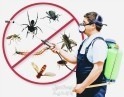 شركة رش ومكافحة حشرات بالرياض في الرياض بسعر 250 ريال سعودي