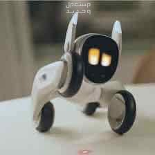 روبوت لونا الذكي والمدمج بذكاء الاصطناعي جديد  في الرياض بسعر 2800 ريال سعودي