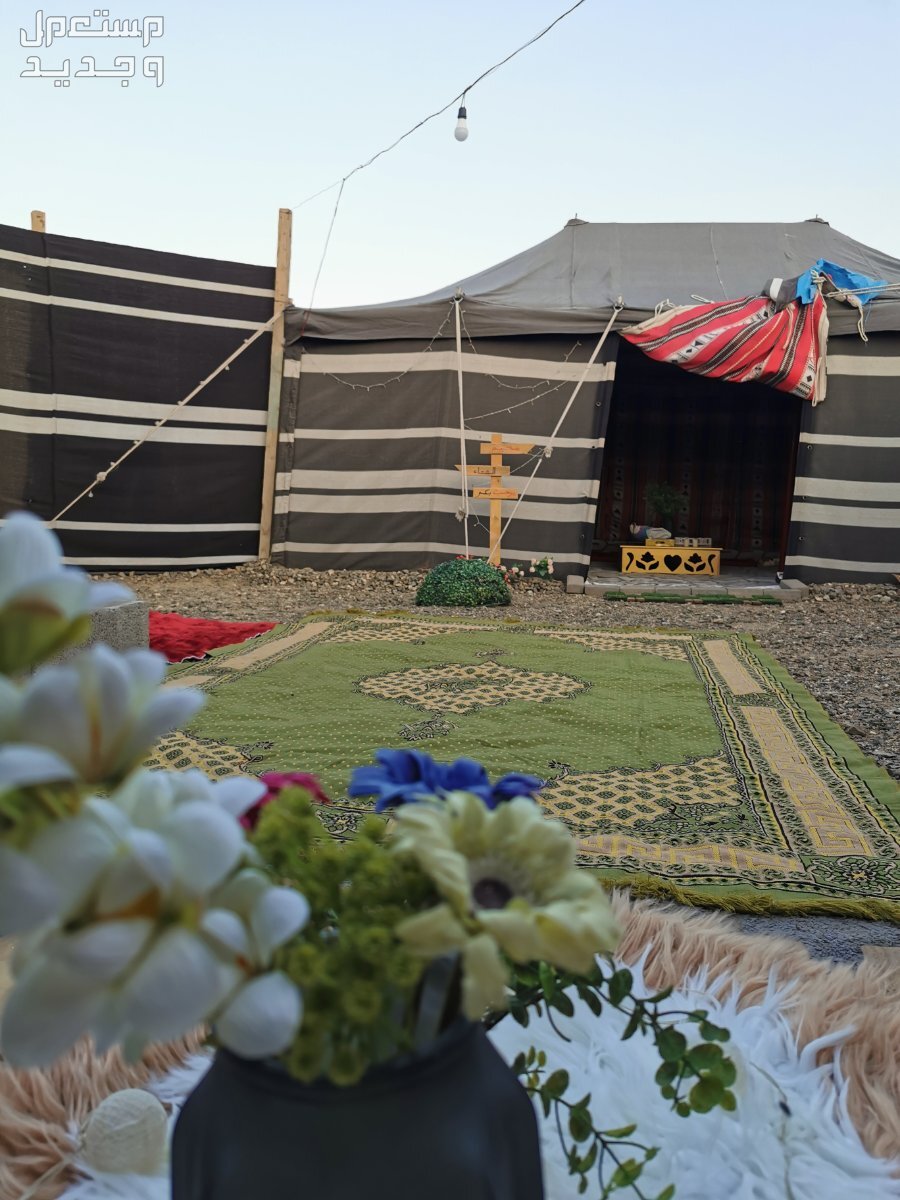 مخيم للإيجار في السلام - المدينة المنورة بسعر 25 ريال سعودي