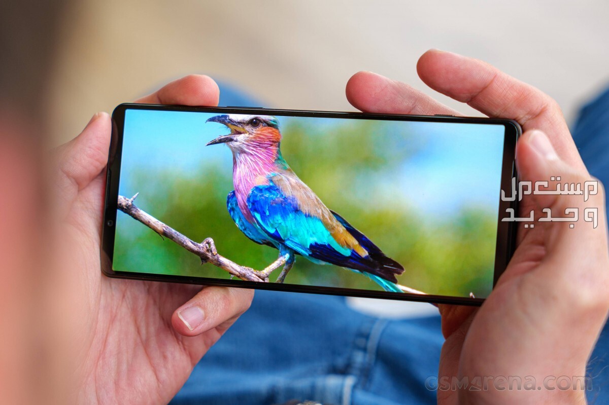 تعرف على مواصفات هاتف Sony Xperia 1 V Sony Xperia 1 V
