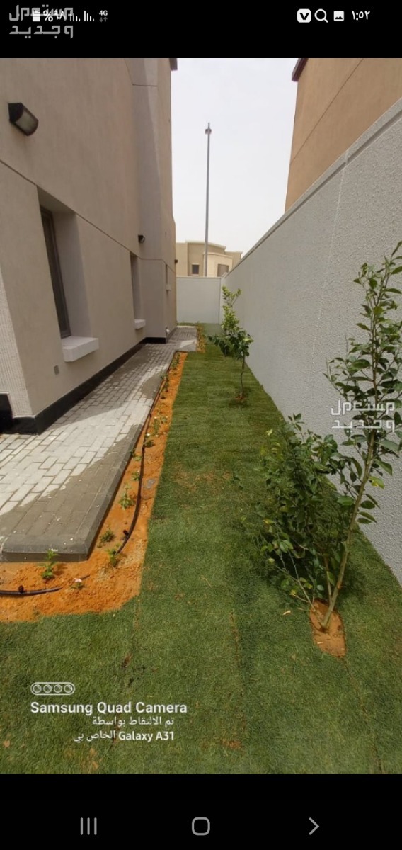 تنسيق حدائق  في الرياض بسعر 30 ريال سعودي